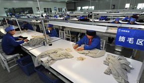 宁夏灵武 占据世界羊绒原绒产量44%的“软黄金”产业高地