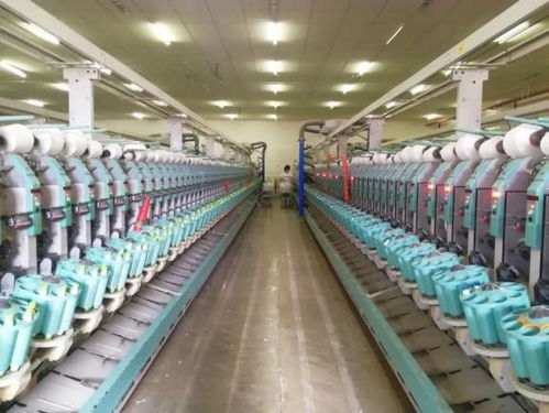智造秀·望城纺织 从化纤到纱线的智造跃迁